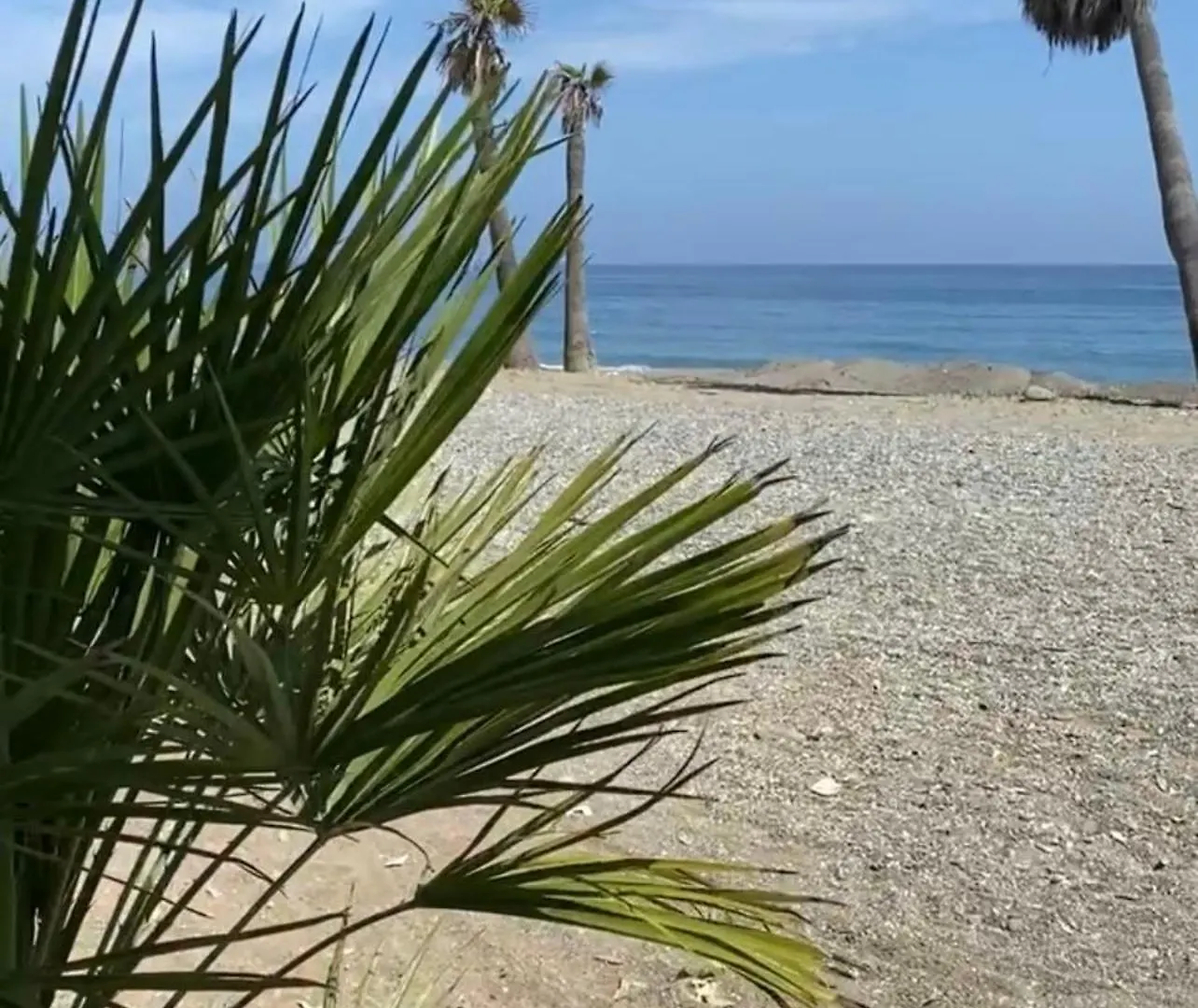 Apartamentos Linda Vista Marbella Spain